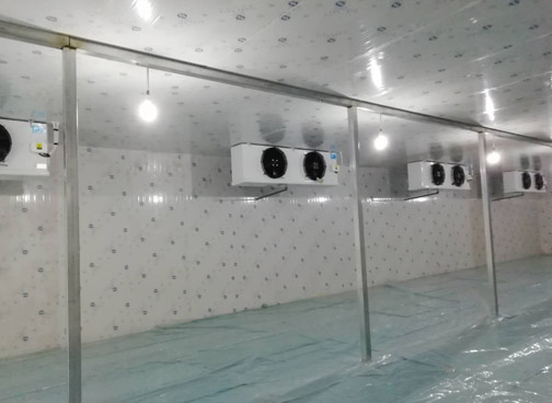 湖北成套冷庫設(shè)計(jì)-冷凍庫